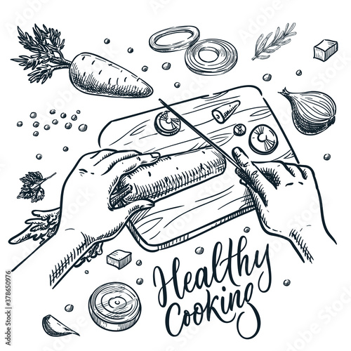 Healthy cooking meal preparation process vector sketch illustration. Human hands cut carrots with knife on cutting board