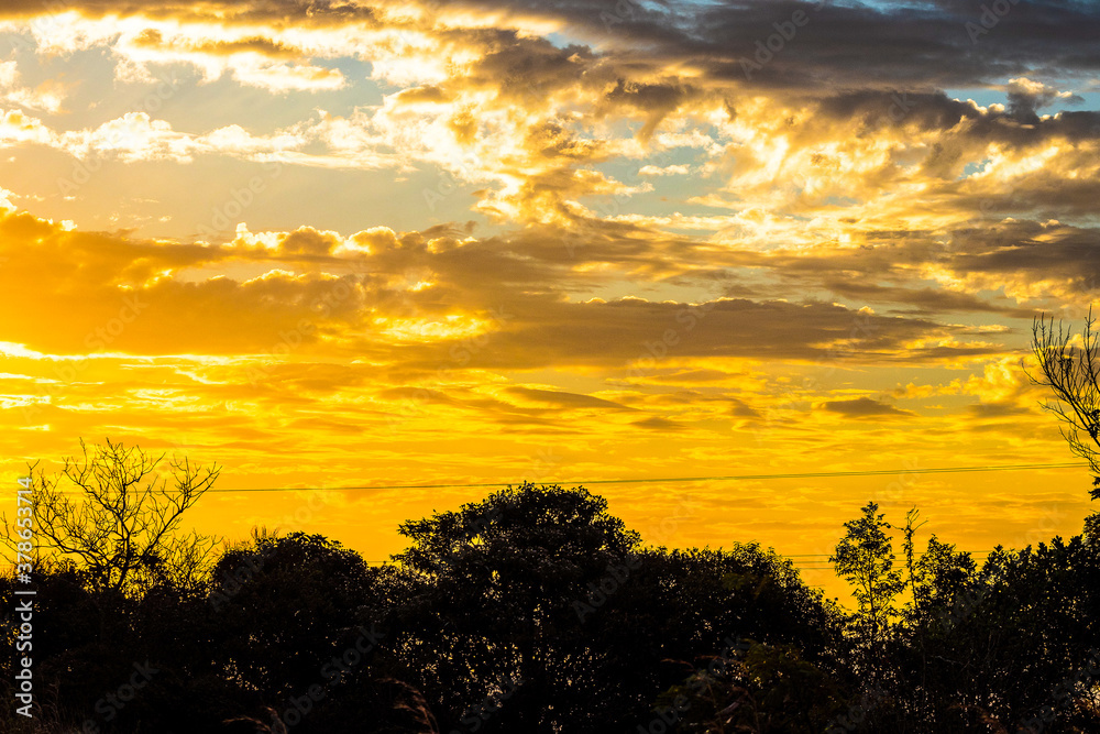 sunset over the field