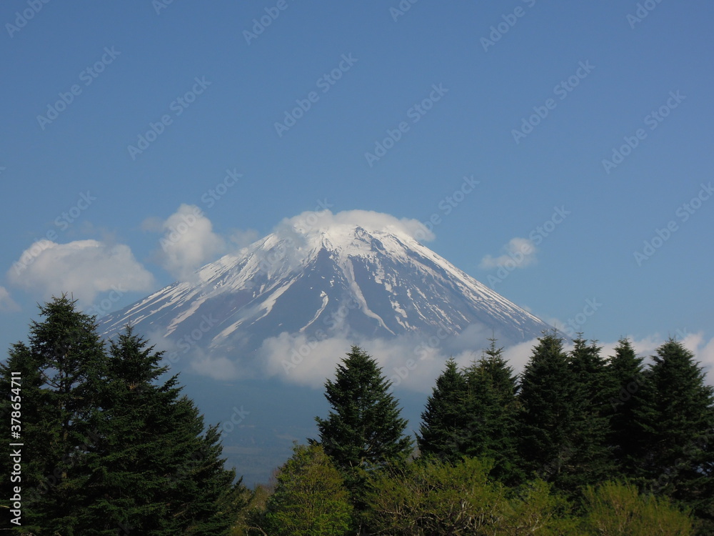 Fototapeta premium 富士山