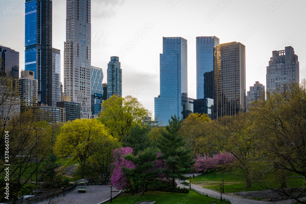 Central Park with a view of trees and Manhattan skyscrapers in the background