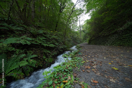 軽井沢の風景
