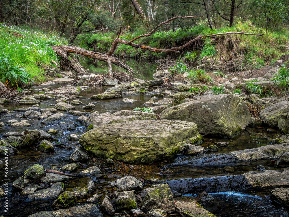 Tree Falls To Rocks