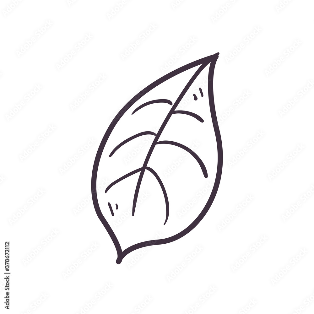 Isolated leaf line style icon vector design Isolated leaf line style icon vector design