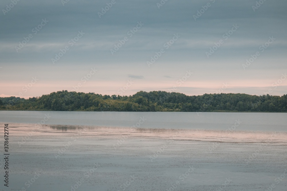 Naklejka premium Pond