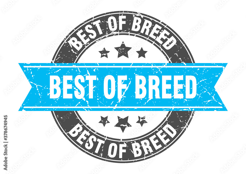 Obraz premium best of breed round stamp with ribbon. label sign