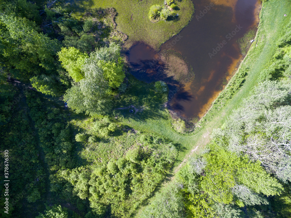 Aerial view of pond in forest