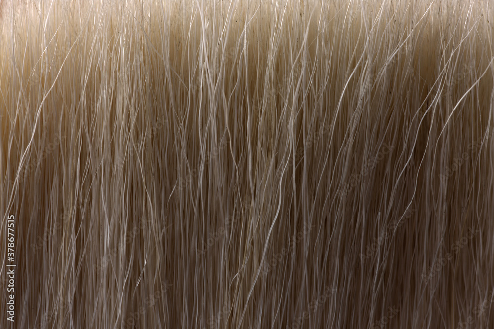 texture texture
