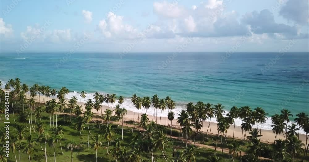 Aerial view of a beautiful wild tropical beach. Flying over the palm trees on the shore of ocean. Waves roll on the sand. Aerial view of a beautiful wild tropical beach. Flying over the palm trees on the shore of ocean. Waves roll on the sand.