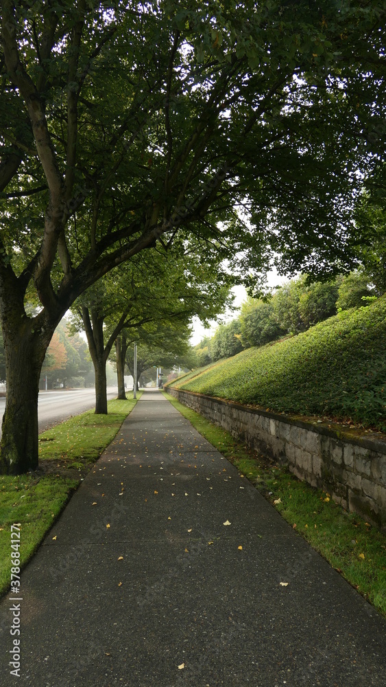 road in the park