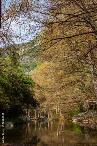 autumn in the river