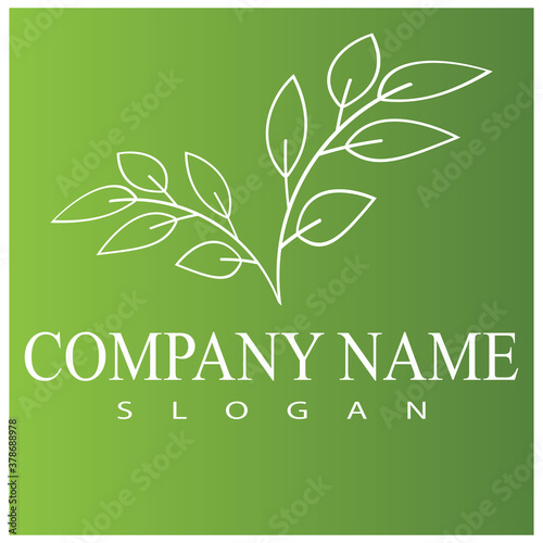 Leaf line icons vector leaves logo design