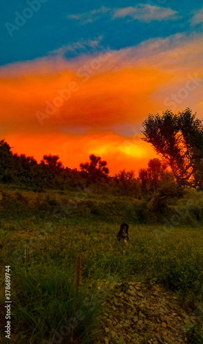 silhouette of a person walking in the sunset