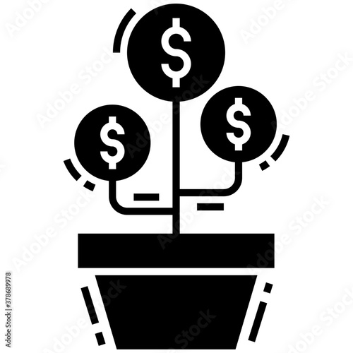 Dollar Plant