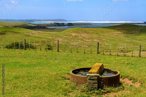 A farm on the coast, with a circular water trough for animals to drink from. Photographed in Northland, New Zealand