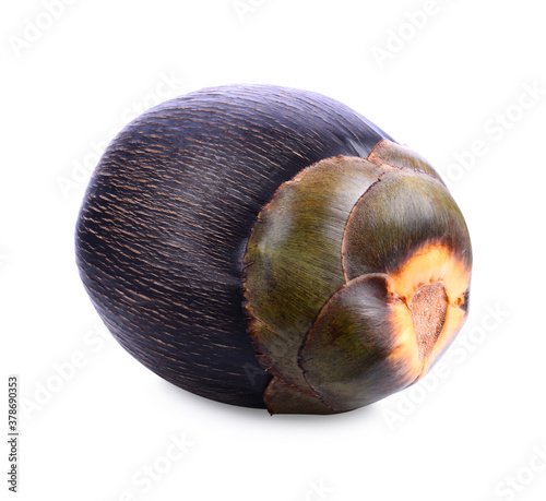 Asian Palmyra palm, fruit on white background
