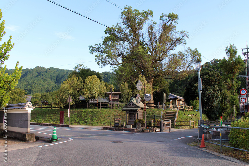 Shrine in the middle of junction in Asuka, Japan
