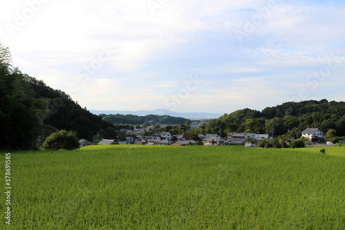 Countryside and paddy field in Asuka, Nara