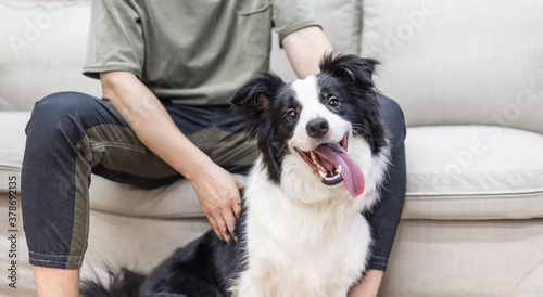 border collie and owner siting on the sofa 