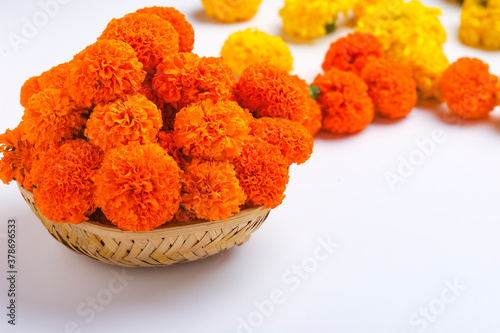 Marigold flowers in basket on white background