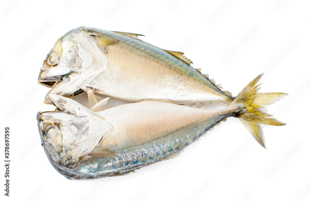 Two thai fish mackerels steamed isolated on white background