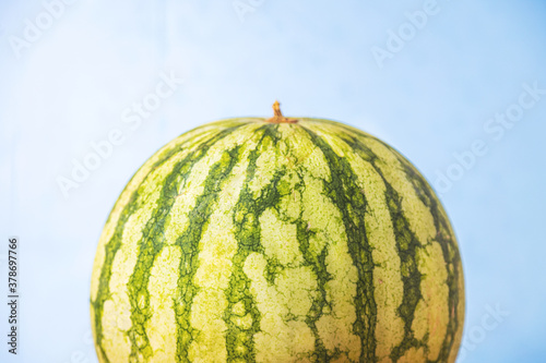 green watermelon on colorful background