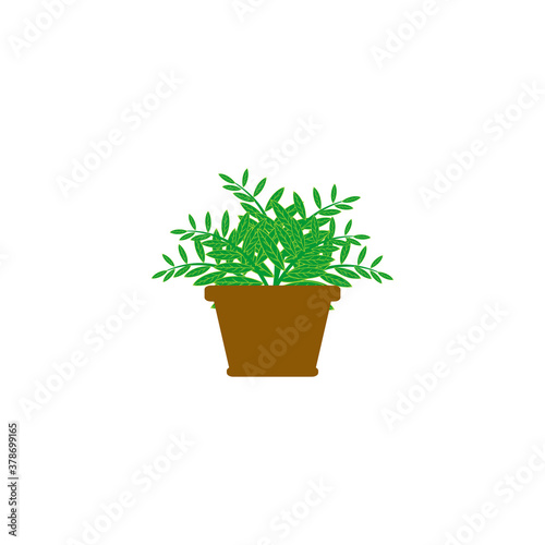 plant in a pot icon vector symbol