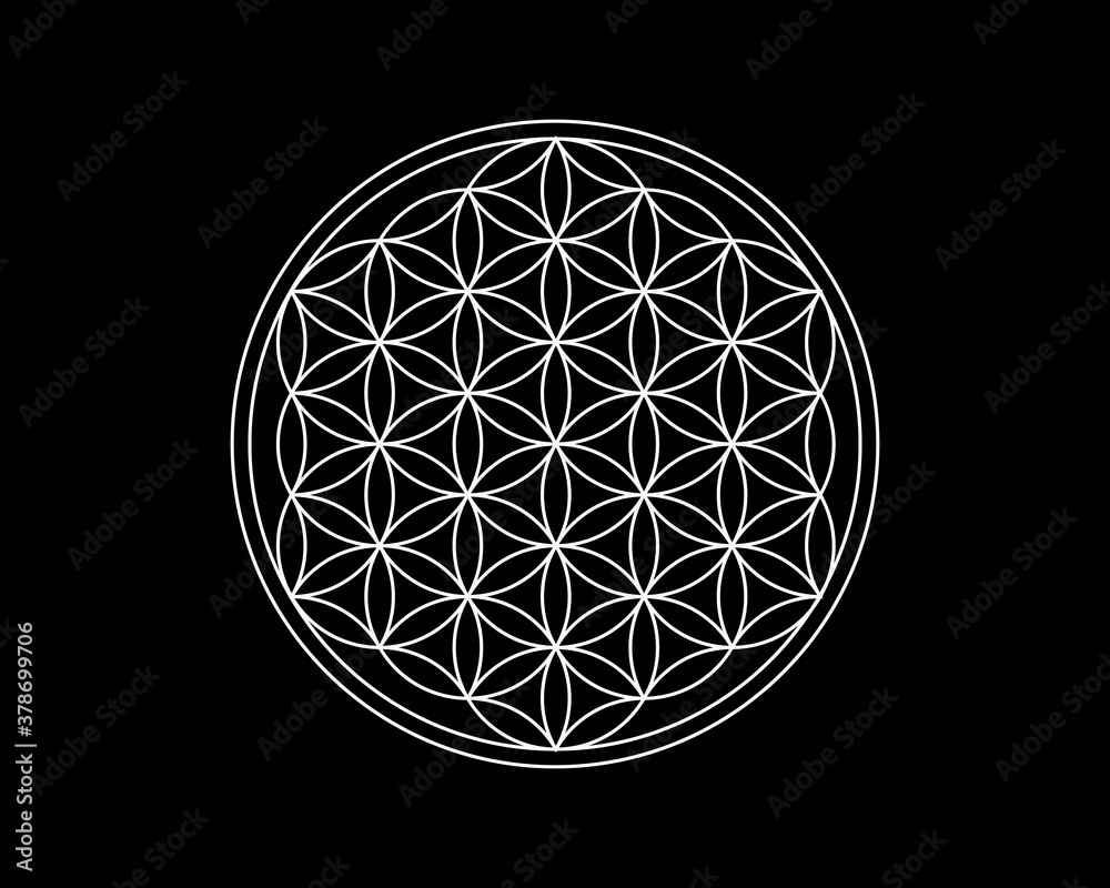 Flower of Life Stencil, Sacred Geometry Patterns Flower of Life Stencil, Sacred Geometry Patterns