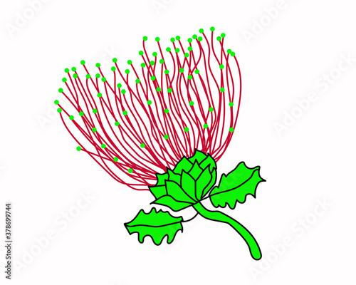 Pink Floral vector illustration.flower vector illustration and art