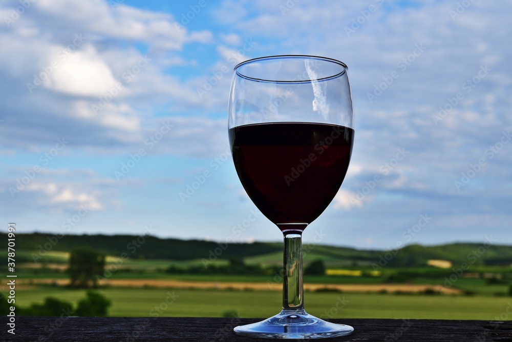 Ein Glas Rotwein in Ungarn
