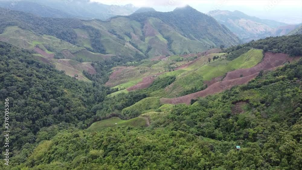 A beautiful rainforest mountains ranges by drone A beautiful rainforest mountains ranges by drone