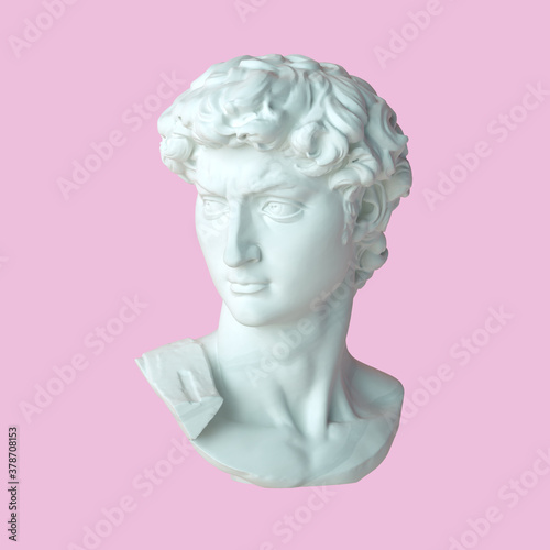 Head of Michelangelo's David isolated on a pink pirouette colour background. 3d render illustration.  © Elena