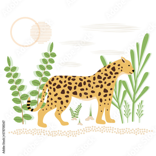 Vector illustration of a spotted Panther in the jungle. Wildlife, predators-the Jaguar, the Cheetah.