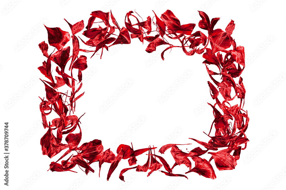 Picture frame made of red flower petals white background isolated close up, decorative floral border, foliage pattern, red leaves decoration, vintage design element, greeting card ornament, copy space Picture frame made of red flower petals white background isolated close up, decorative floral border, foliage pattern, red leaves decoration, vintage design element, greeting card ornament, copy space