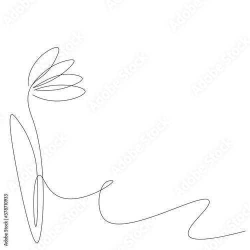 Flower line drawing, vector illustration
