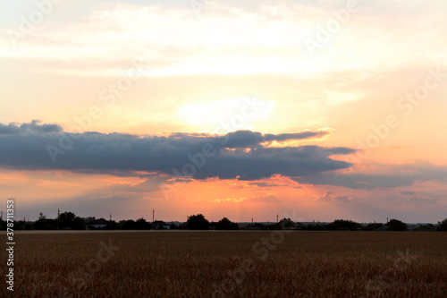 Sunset in the village. Sunset on the background of a wheat field. Image in orange tinted.