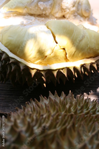 Durian | Durian photo