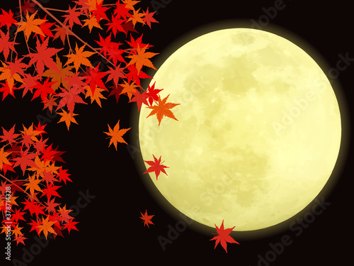 紅葉と満月の風景イラスト