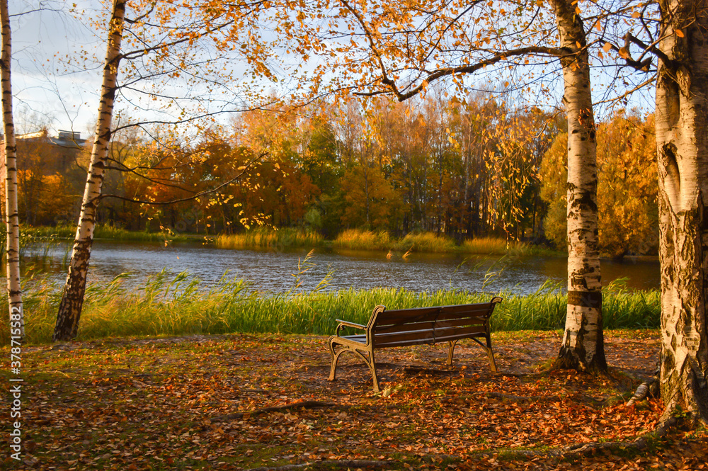 
bench in an autumn park by the lake
