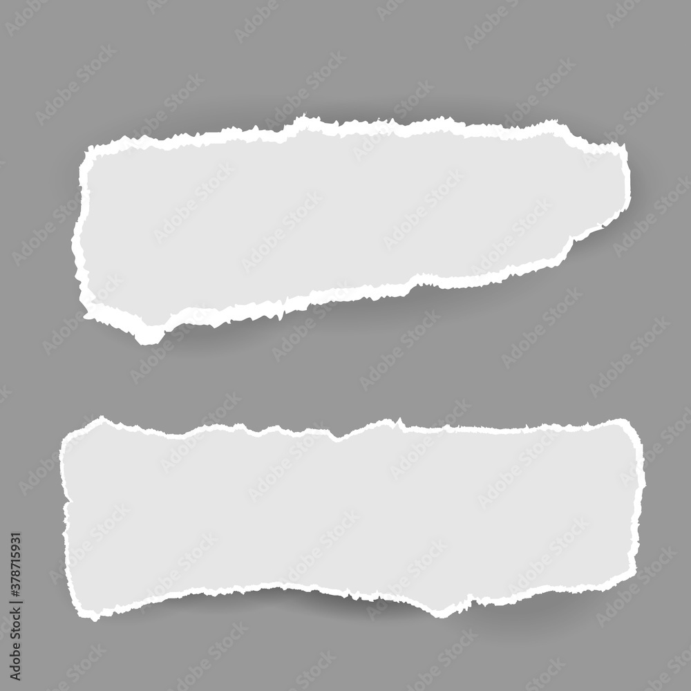 Vector of ripped paper. Vector of ripped paper.