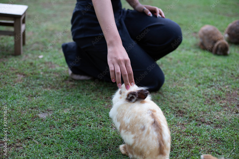 A woman holding a brown rabbit in the garden