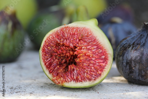 Fig [ Figue