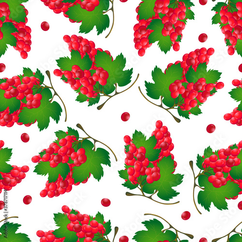Seamless pattern of grapes with leaves.Vector
