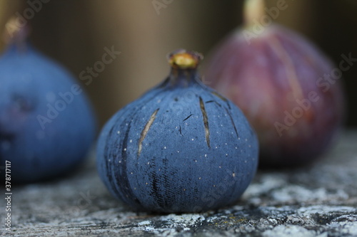Fig [ Figue