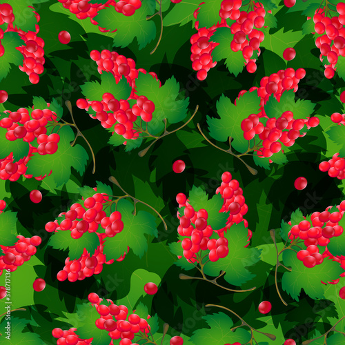 Seamless pattern of grapes ...