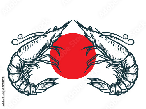 Shrimp sea Caridea animal engraving vector illustration. Scratch board style imitation. Black and white hand drawn image.