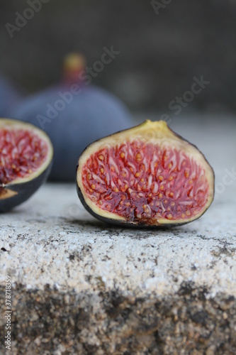 Fig [ Figue