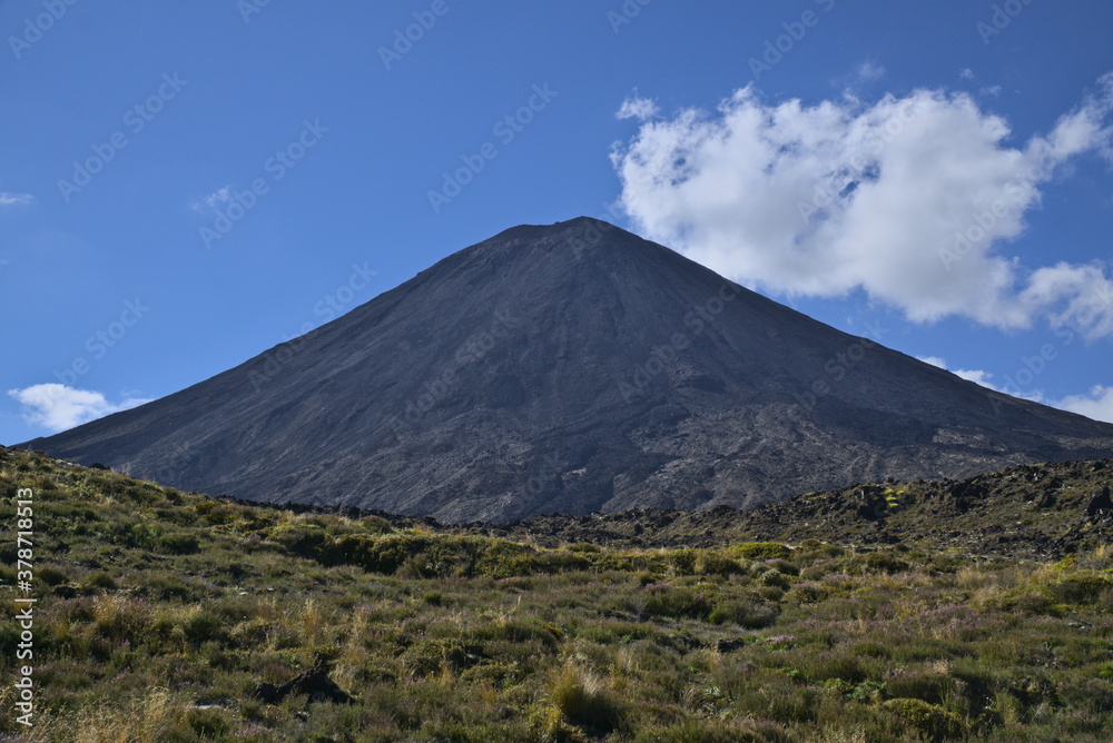 Green alpine meadow and pink flowers against a background of the active volcano Mount Ngauruhoe, Tongariro, North Island, New Zealand