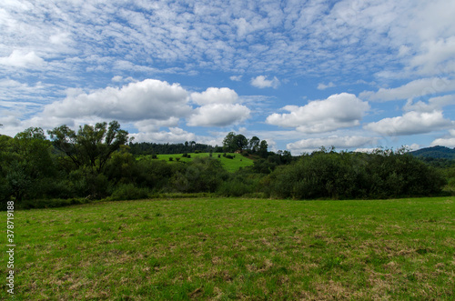 Fototapeta Naklejka Na Ścianę i Meble -  Bieszczady panorama Krywe  