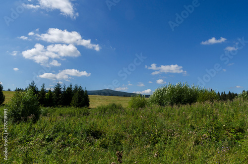 Fototapeta Naklejka Na Ścianę i Meble -  Bieszczady panorama 