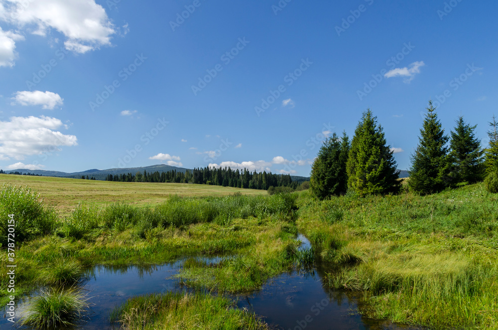 Bieszczady panorama 